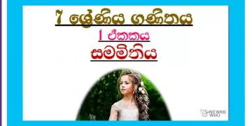 Grade 07 Mathematics Unit 01 | Symmetry Tutorial