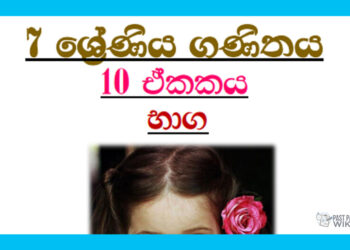 Grade 07 Mathematics Unit 10 | Fractions Tutorial