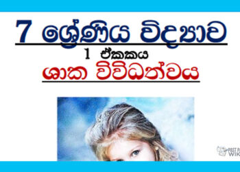 Grade 07 Science Unit 01 | Plant Diversity