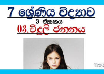 Grade 07 Science Unit 03 | Generation Of Electricity