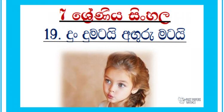 Grade 07 Sinhala Unit 19 | Dun Dumatai Anguru Matai