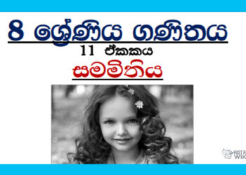 Grade 08 Mathematics Unit 11 | Symmetry