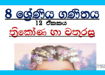 Grade 08 Mathematics Unit 12 | Triangles And Quadrilaterals