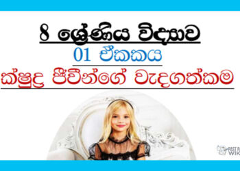 Grade 08 Science Unit 01 | Importance Of Microorganisms