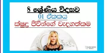 Grade 08 Science Unit 01 | Importance Of Microorganisms
