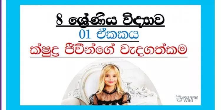 Grade 08 Science Unit 01 | Importance Of Microorganisms