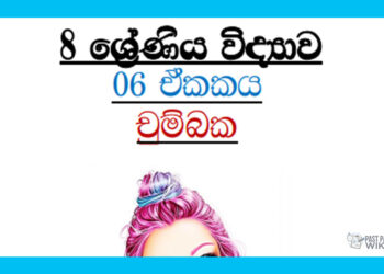 Grade 08 Science Unit 06 | Magnets