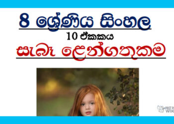 Grade 08 Sinhala Unit 10 | Sebe Lengathukama