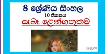 Grade 08 Sinhala Unit 10 | Sebe Lengathukama