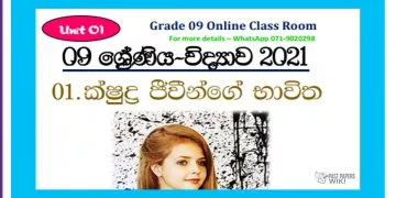 Grade 09 Science Unit 01 | Applications Of Micro – Organisms