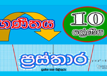 Grade 10 Mathematics | Graphs Workbook