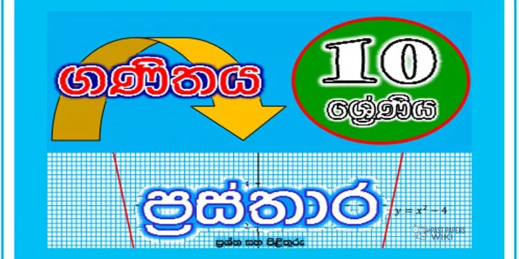 Grade 10 Mathematics | Graphs Workbook