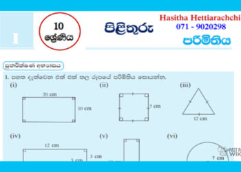 Grade 10 Mathematics Unit 01 | Perimeter Questions and Answers