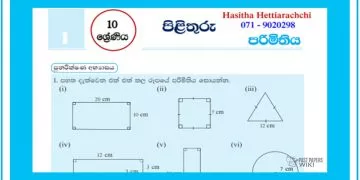 Grade 10 Mathematics Unit 01 | Perimeter Questions and Answers