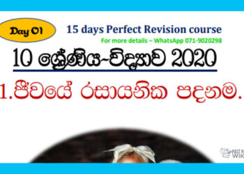 Grade 10 Science Unit 01 | Chemical Basis Of Life (1)