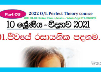 Grade 10 Science Unit 01 | Chemical Basis Of Life (4)