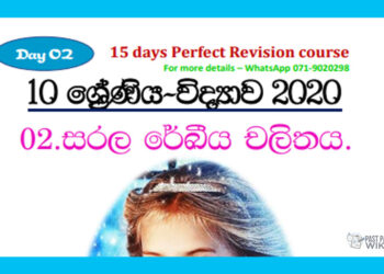 Grade 10 Science Unit 02 | Motion in a Straight (2) Tutorial