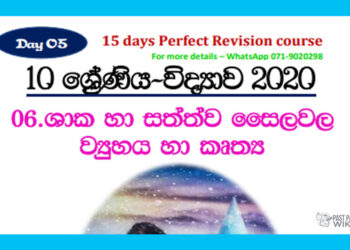 Grade 10 Science Unit 06 | Structure And Functions Of The Plant And Animal Cell