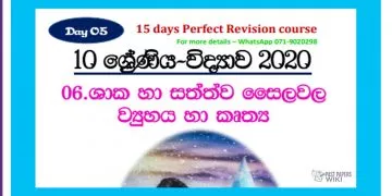 Grade 10 Science Unit 06 | Structure And Functions Of The Plant And Animal Cell