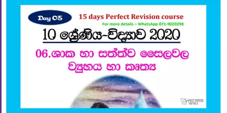 Grade 10 Science Unit 06 | Structure And Functions Of The Plant And Animal Cell