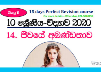 Grade 10 Science Unit 14 | Continuity Of Life