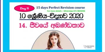 Grade 10 Science Unit 14 | Continuity Of Life