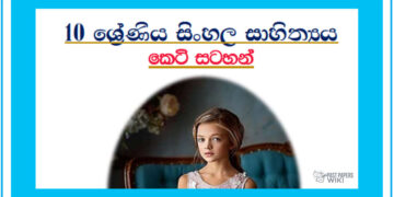 Grade 10 Sinhala Literature | Short Notes