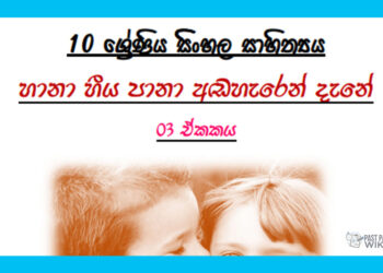 Grade 10 Sinhala Literature Unit 03 | Haana Hiiya Paana Adaheren Dene