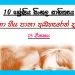 Grade 10 Sinhala Literature Unit 03 | Haana Hiiya Paana Adaheren Dene