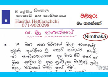 Grade 10 Sinhala Unit 06 | Man Thananno – Answers