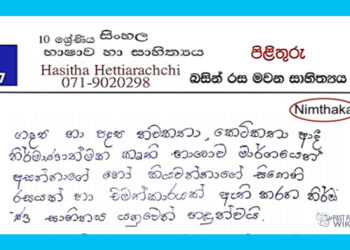 Grade 10 Sinhala Unit 07 | Basin Rasa Mawana Sahithya – Answers