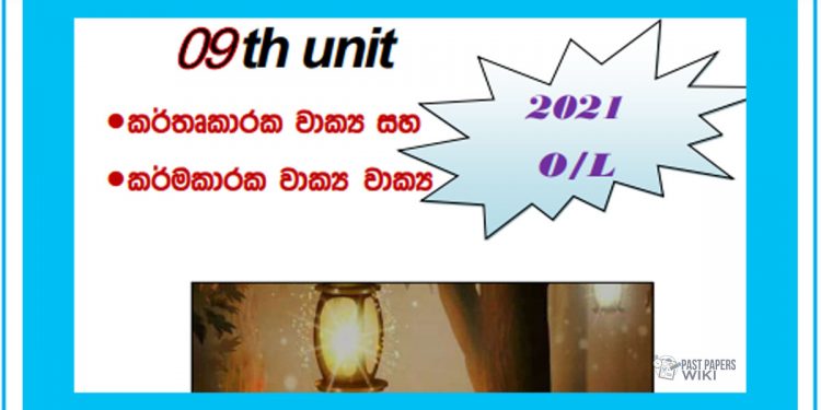 Grade 10 Sinhala Unit 09 | Wakya Riithi