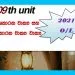 Grade 10 Sinhala Unit 09 | Wakya Riithi