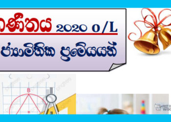 Grade 11 Mathematics | Geometric Theorem Book