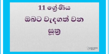 Grade 11 Mathematics | Important Formulae