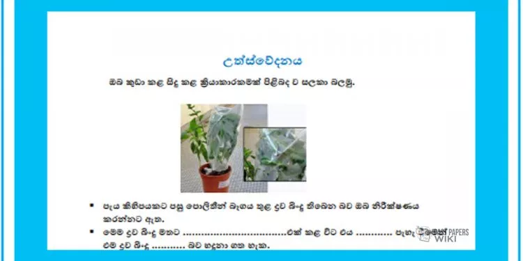 Grade 11 Science | Transpiration