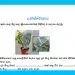 Grade 11 Science | Transpiration