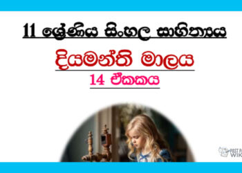 Grade 11 Sinhala Literature Unit 14 | Diyamanthi Malaya