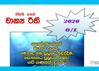 Grade 11 Sinhala Unit 06 | Wakya riithi Tutorial