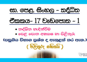 Grade 11 Sinhala Unit 17 | Thadditha Workbook (1)