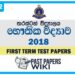Thurstan College Physics 1st Term Test paper 2018 - Grade 12