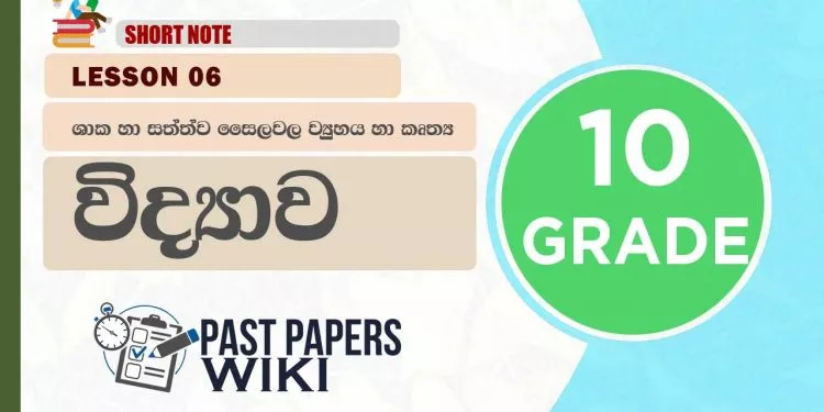 Shaka ha Sathwa Sailawala Viyuhaya ha Kruthya – Grade 10 Science Lesson 06 | Short Note