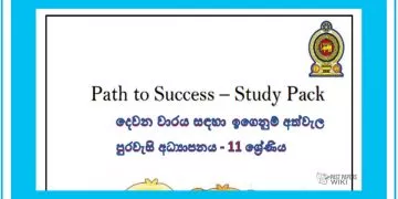 Grade 11 Civic Education | Path to Success – Study Pack (2)