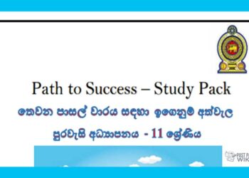 Grade 11 Civic Education | Path to Success – Study Pack (3)