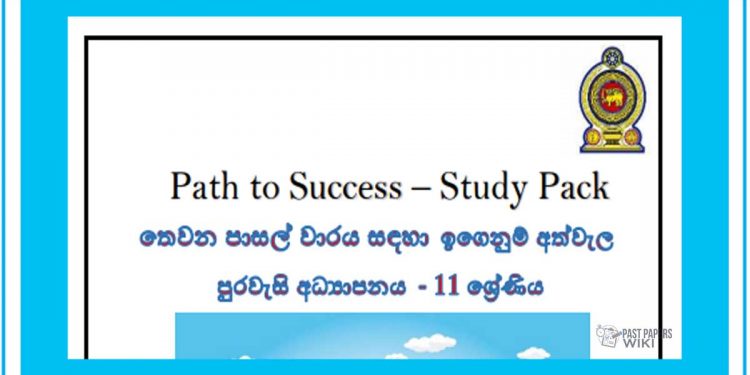 Grade 11 Civic Education | Path to Success – Study Pack (3)