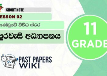 VARIOUS STRATA OF THE GOVERNMENT | Grade 11 Civic Education | Lesson 02