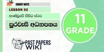 VARIOUS STRATA OF THE GOVERNMENT | Grade 11 Civic Education | Lesson 02