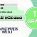 VARIOUS STRATA OF THE GOVERNMENT | Grade 11 Civic Education | Lesson 02
