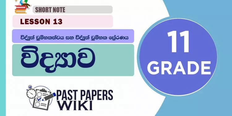 Vidyuth Chumbakathwaya Saha Vidyuth Chumbaka Preranaya short note | Grade 11 Science | Lesson 13