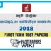 Devi Balika College Information And Communication Technology 1st Term Test paper 2018 - Grade 13